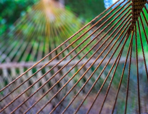 Hammock Rays