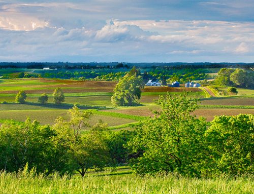 Iowa Landscape