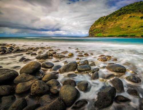 Sea Cliff Rocks