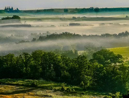 Morning Fog